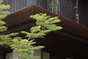 Bayview House 2